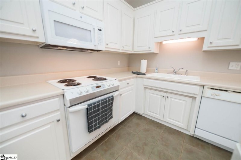 Property image 4 at 421 Rambling Rose Way, Moore, SC 29360