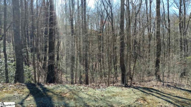 Property image 2 at Alsace Way, Travelers Rest, SC 29690