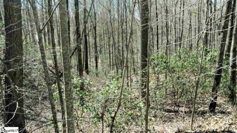 Property image 3 at Alsace Way, Travelers Rest, SC 29690