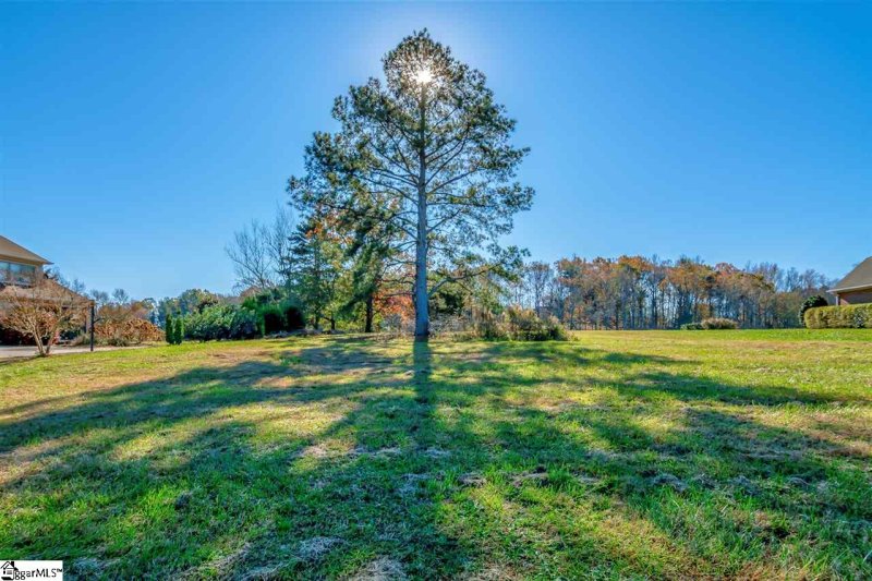 Property image 5 at 360 Royal Burgess Drive, Campobello, SC 29322