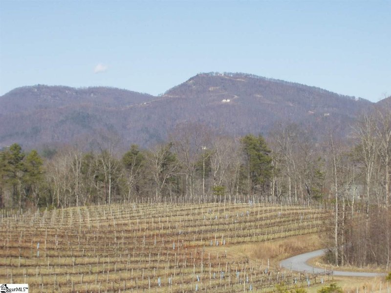 Property image 4 at 209 cabernet Way, Travelers Rest, SC 29690