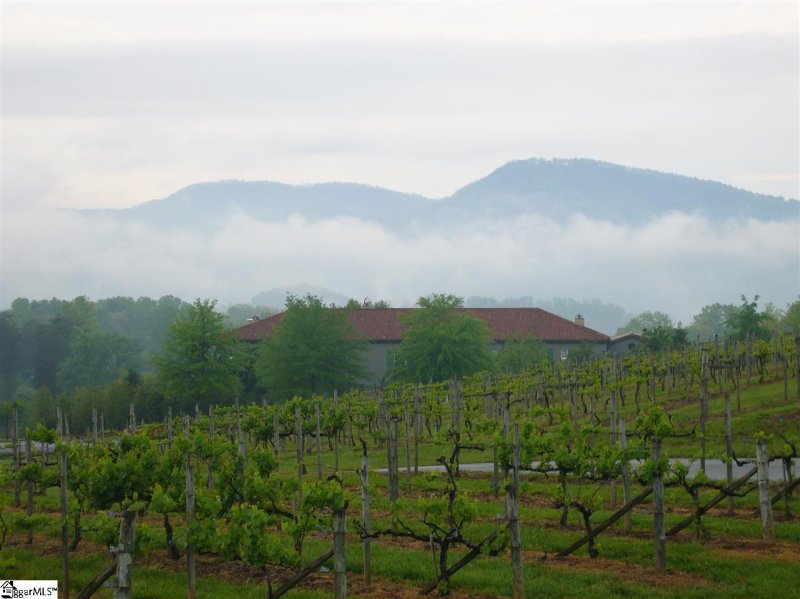 Property image 5 at 209 cabernet Way, Travelers Rest, SC 29690