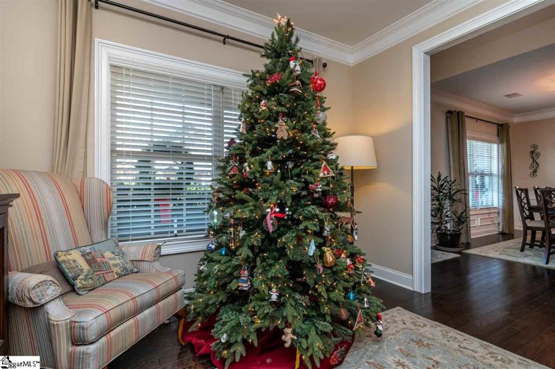 Property image 5 at 224 Raven Falls Lane, Simpsonville, SC 29681-8166