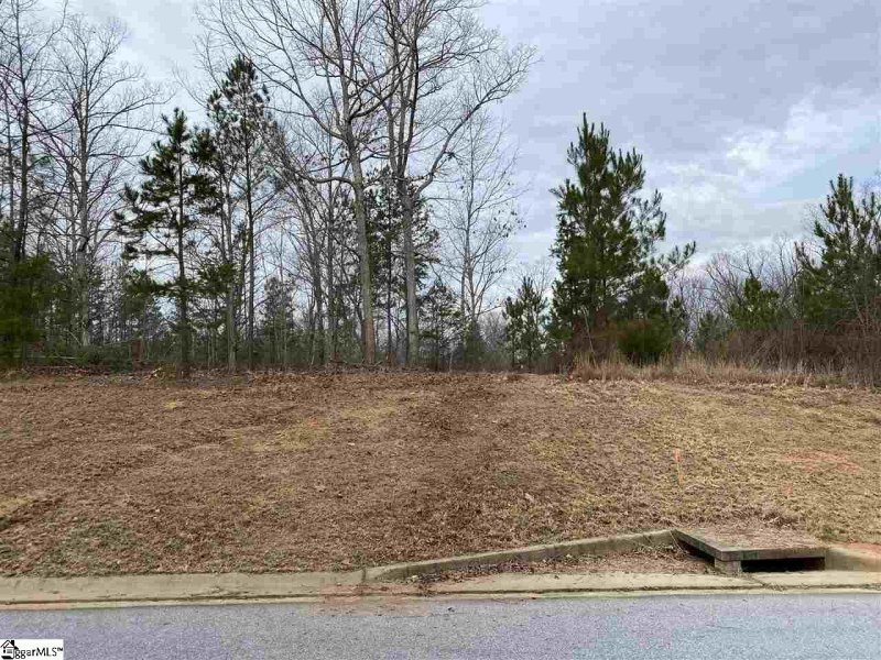 Property image 4 at 112 Cherry Plum Way, Pelzer, SC 29669