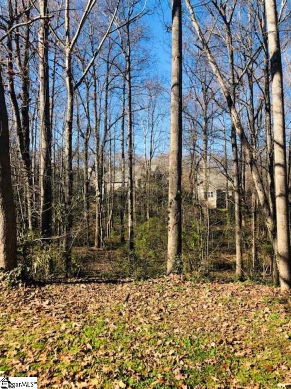 Property image 2 at 25175 Circle Slope Drive, Simpsonville, SC 29681