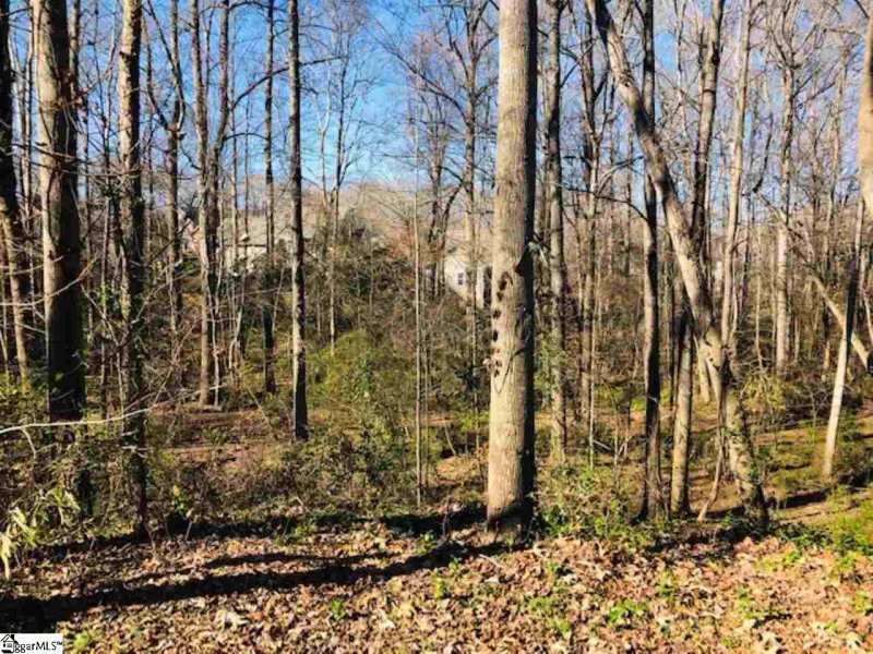 Property image 3 at 25175 Circle Slope Drive, Simpsonville, SC 29681