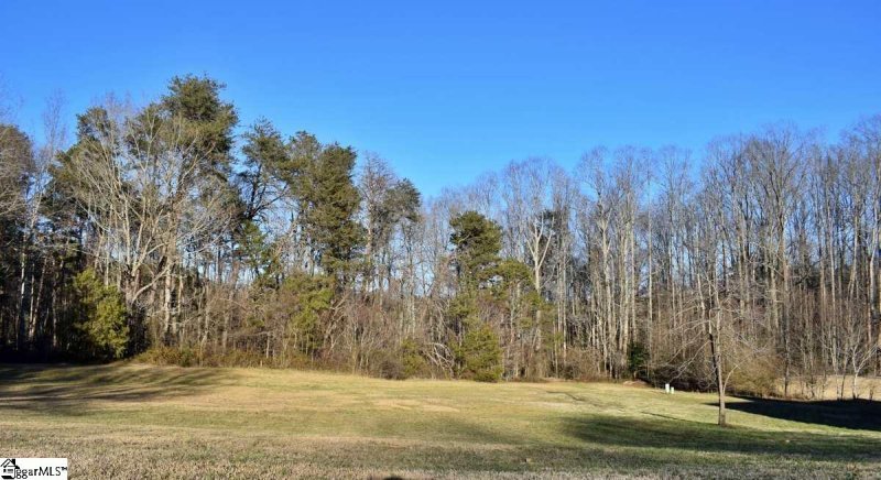 Property image 3 at 173 Royal Burgess Drive, Campobello, SC 29322