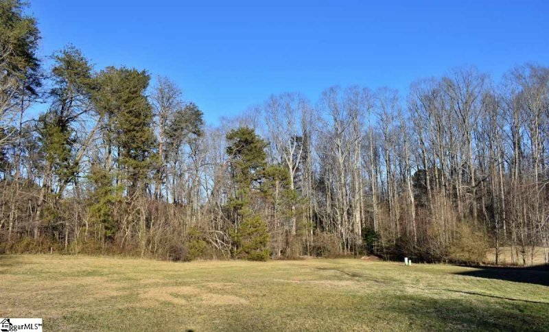 Property image 4 at 173 Royal Burgess Drive, Campobello, SC 29322