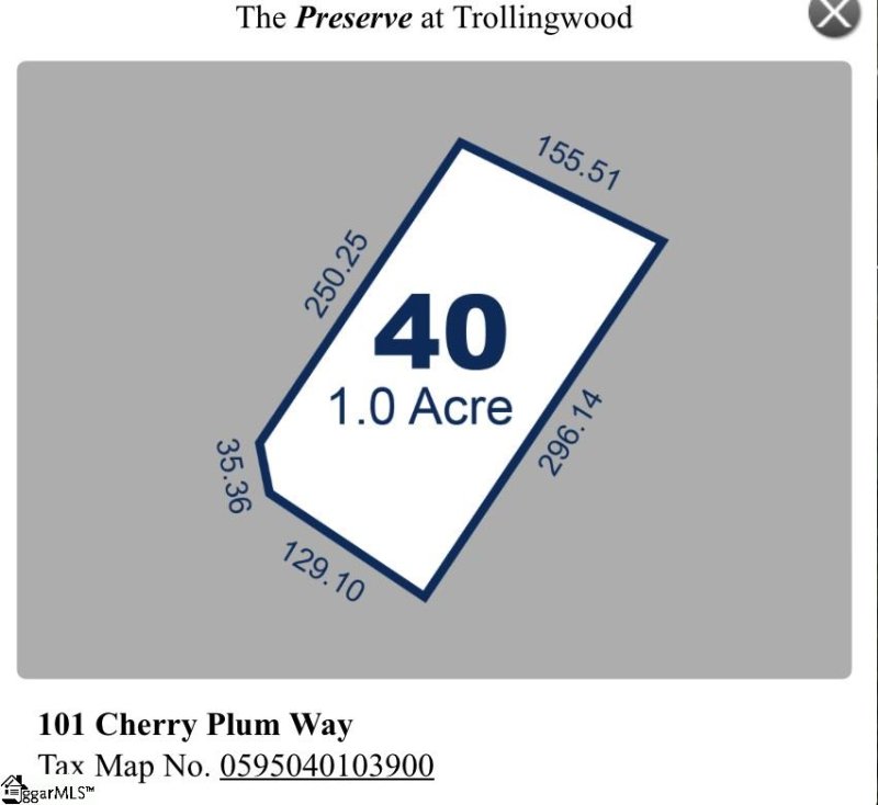 Property image 5 at 101 Cherry Plum Way, Pelzer, SC 29669