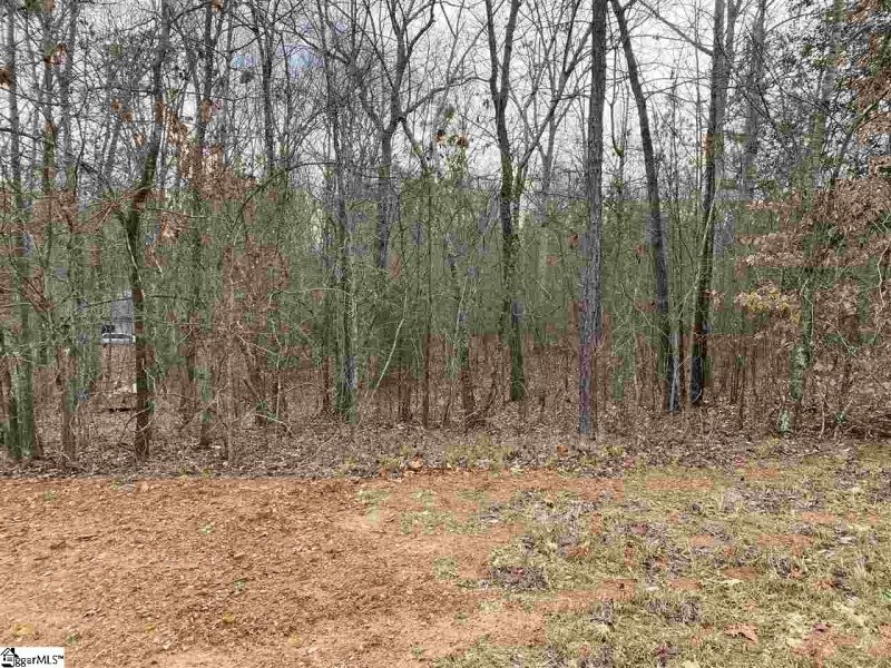 Property image 3 at 224 Granite Hill Trail Way, Pelzer, SC 29669