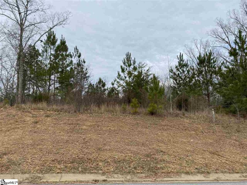 Property image 5 at 224 Granite Hill Trail Way, Pelzer, SC 29669