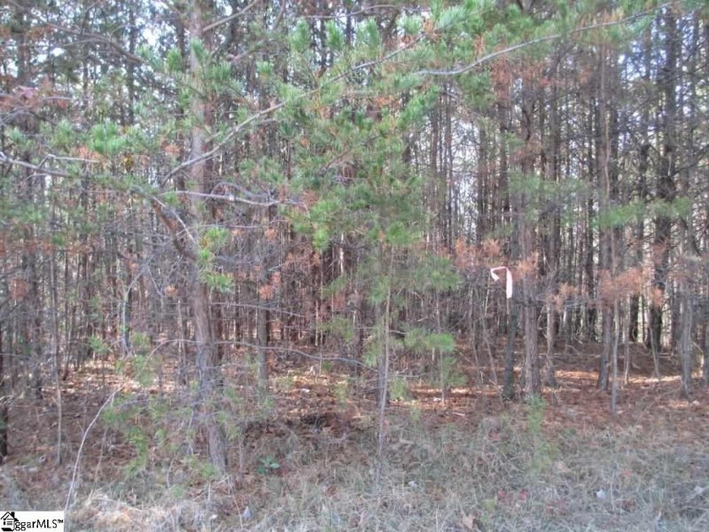 Property image 5 at 259 Jocassee Ridge Way, Salem, SC 29676