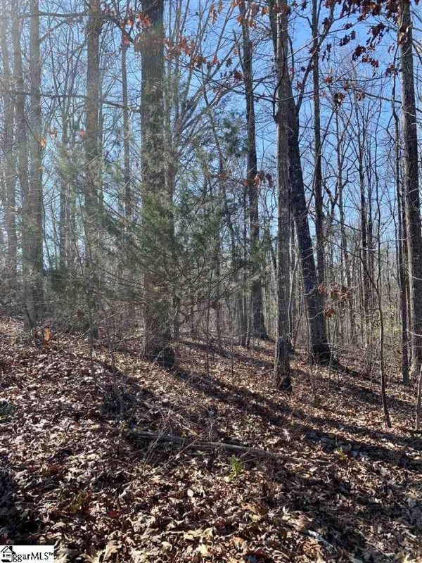 Property image 2 at 115 Ivy Woods Drive, Easley, SC 29642