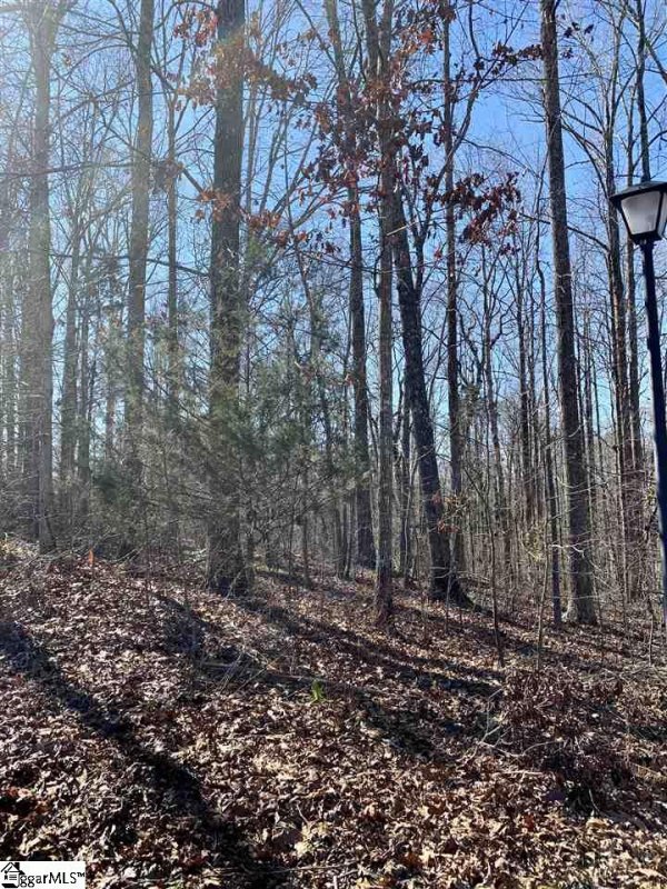 Property image 3 at 115 Ivy Woods Drive, Easley, SC 29642