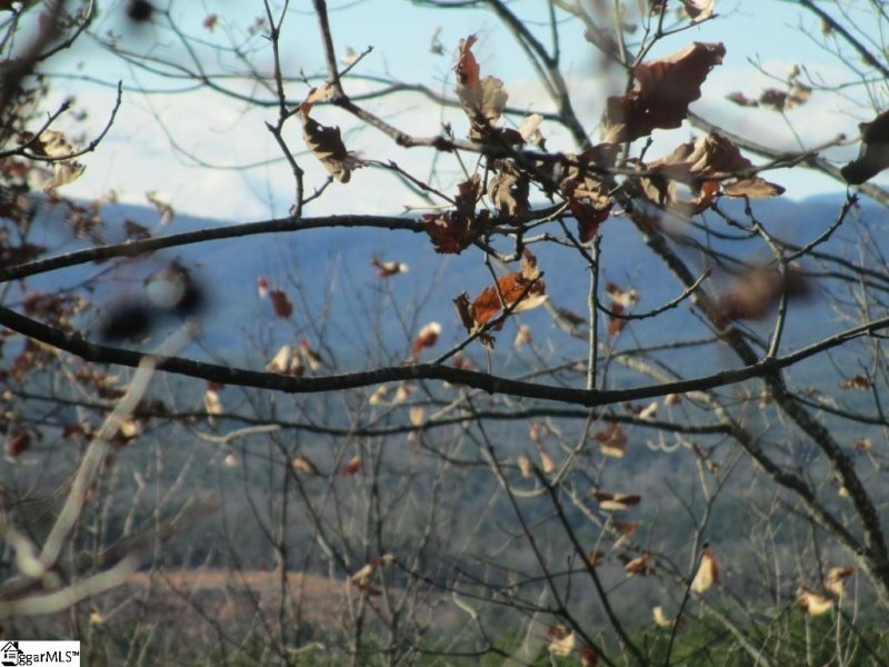 214 Jocassee Ridge Way