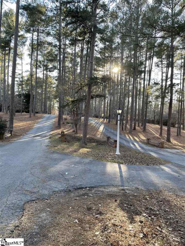 Property image 2 at 00 Doublebrook Drive, Laurens, SC 29360