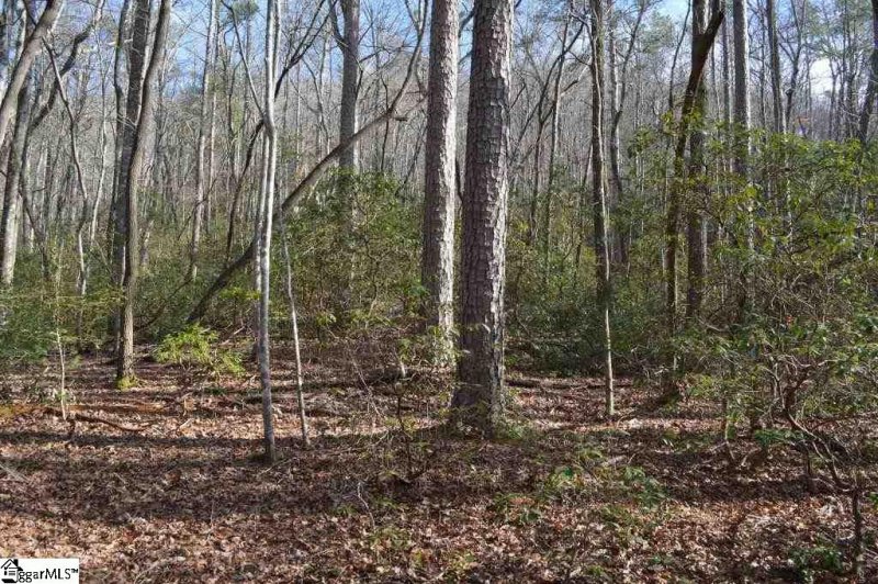 Property image 3 at Rocky Road, Cleveland, SC 29635