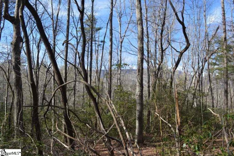 Property image 4 at Rocky Road, Cleveland, SC 29635