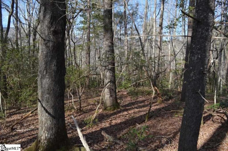 Property image 5 at Rocky Road, Cleveland, SC 29635