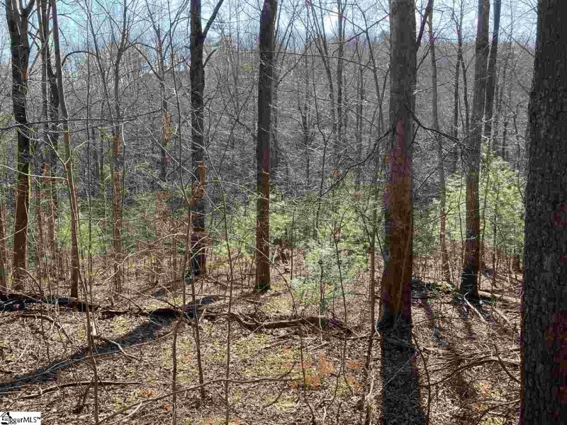 Property image 2 of 135 Morning Glory Way in The Cliffs at Glassy, Landrum, SC 29356