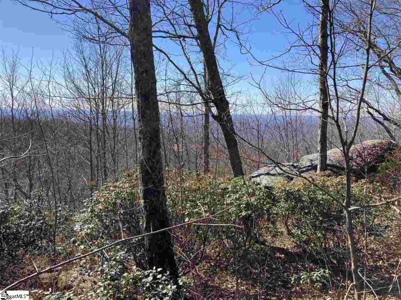 Property image 3 of Big Pine Rock Way in The Cliffs at Glassy, Landrum, SC 29356