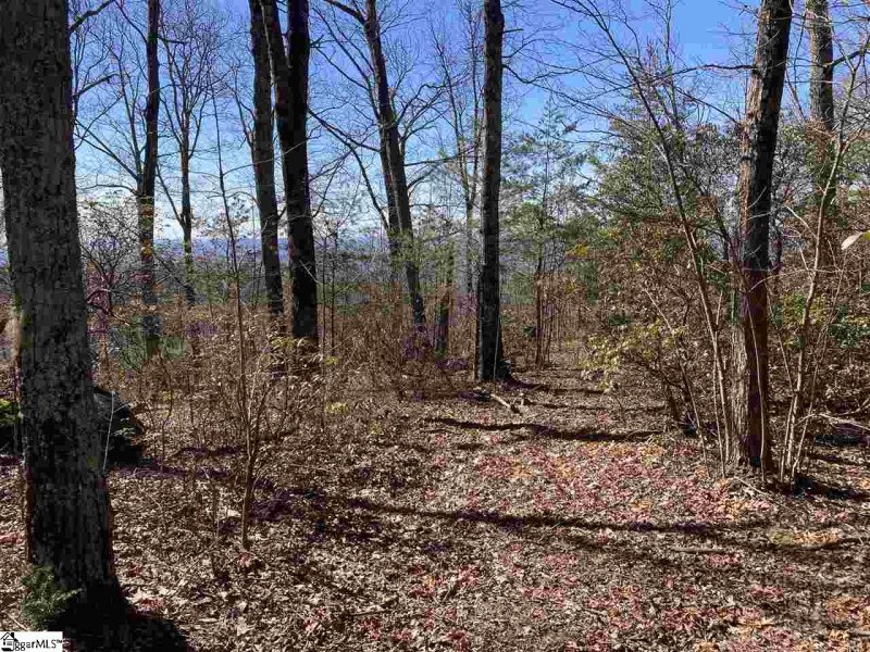 Property image 4 of Big Pine Rock Way in The Cliffs at Glassy, Landrum, SC 29356