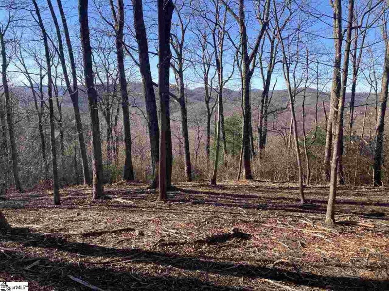 Property image 2 at Quiet Hills Lane, Travelers Rest, SC 29690