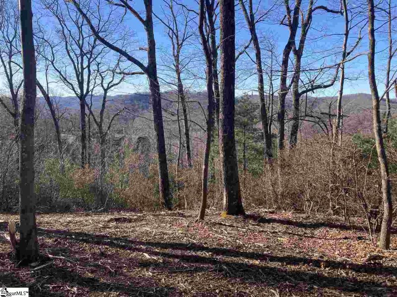 Property image 3 at Quiet Hills Lane, Travelers Rest, SC 29690