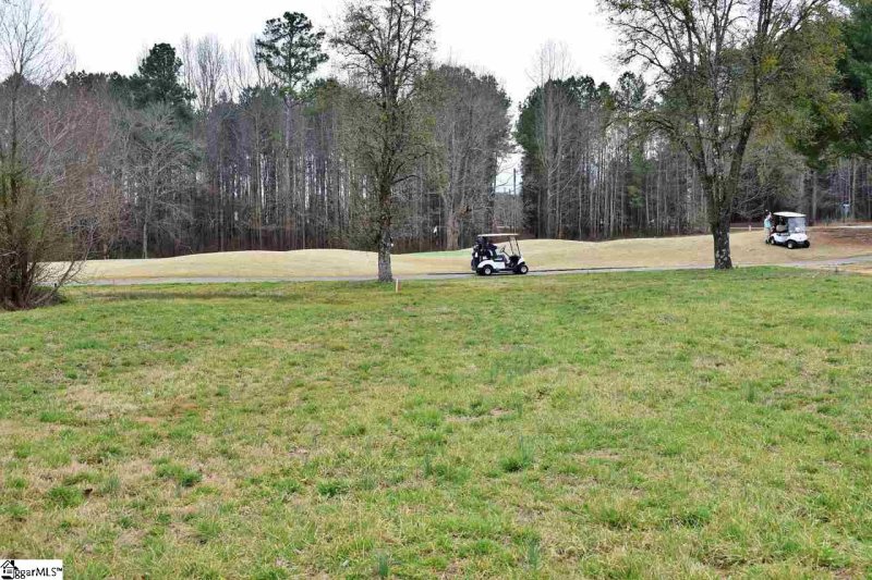 Property image 3 at 6 Carnoustie Court, Campobello, SC 29322