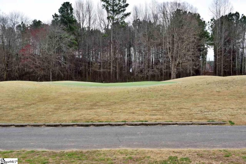 Property image 5 at 6 Carnoustie Court, Campobello, SC 29322