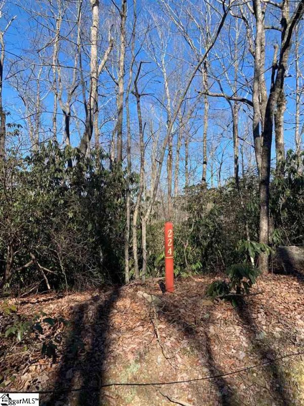 Property image 2 at 11 Larkspur Lane, Cleveland, SC 29635