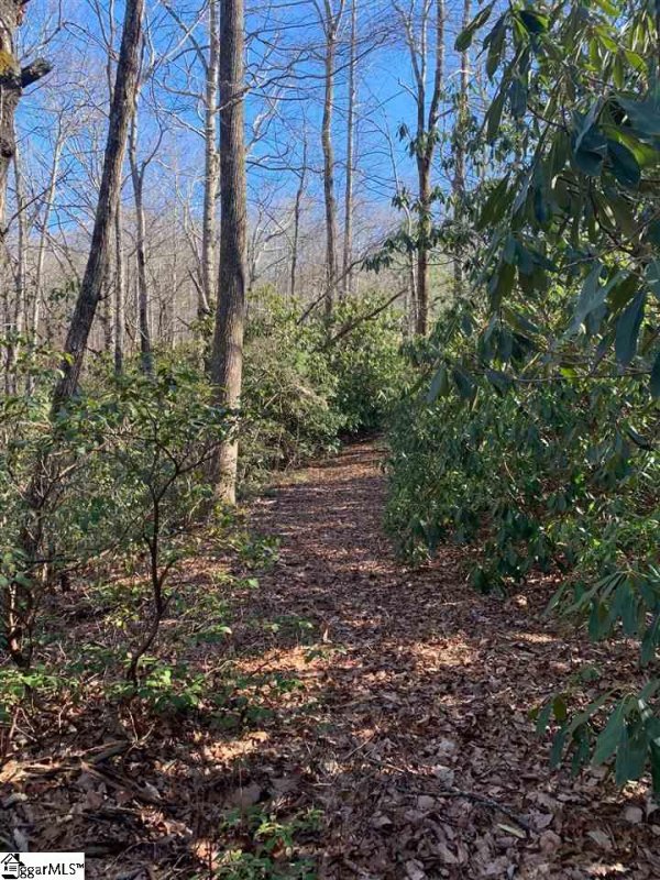 Property image 4 at 11 Larkspur Lane, Cleveland, SC 29635