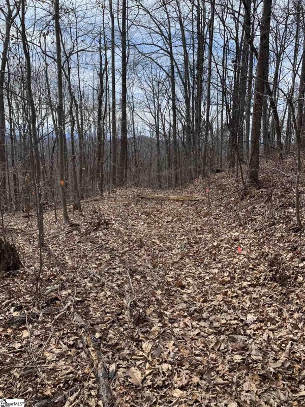 Property image 3 at 15 Majestic View Lane, Travelers Rest, SC 29690