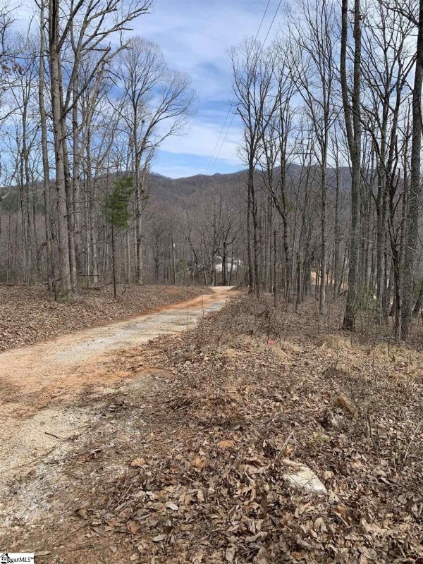 Property image 4 at 15 Majestic View Lane, Travelers Rest, SC 29690