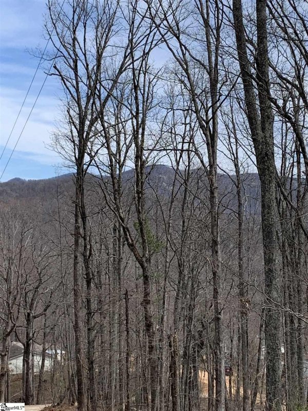 Property image 5 at 15 Majestic View Lane, Travelers Rest, SC 29690