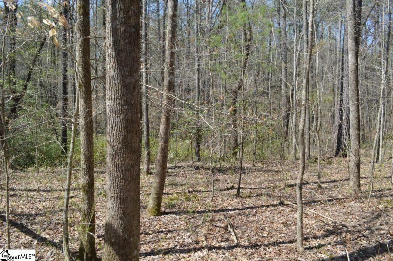 Property image 3 at Rocky Road, Cleveland, SC 29635