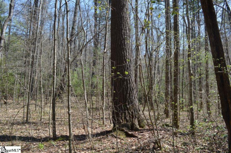 Property image 5 at Rocky Road, Cleveland, SC 29635