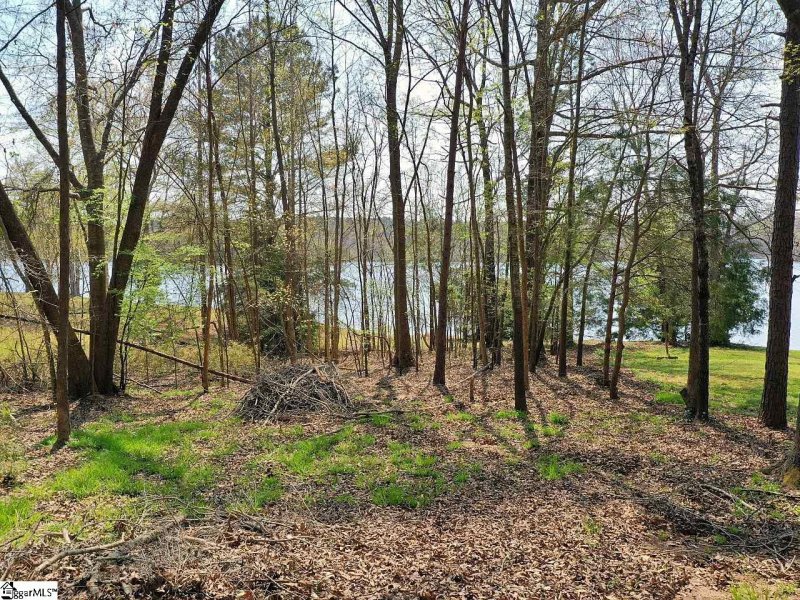 Property image 5 at 00 Indian Ridge Drive, Laurens, SC 29360