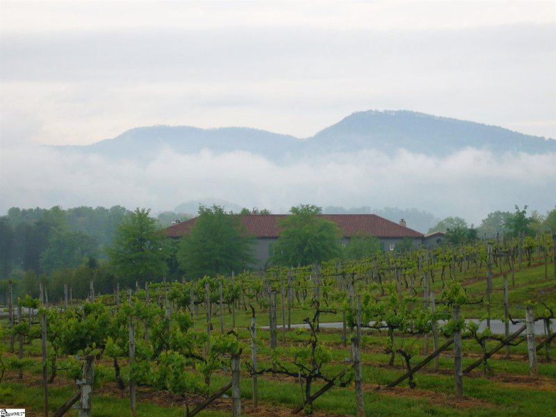 Property image 4 at 215 luberon Lane, Travelers Rest, SC 29690