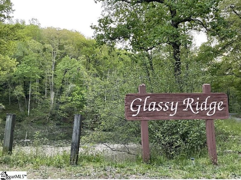 Property image 2 at 52 Mountain Lake Lane, Travelers Rest, SC 29690