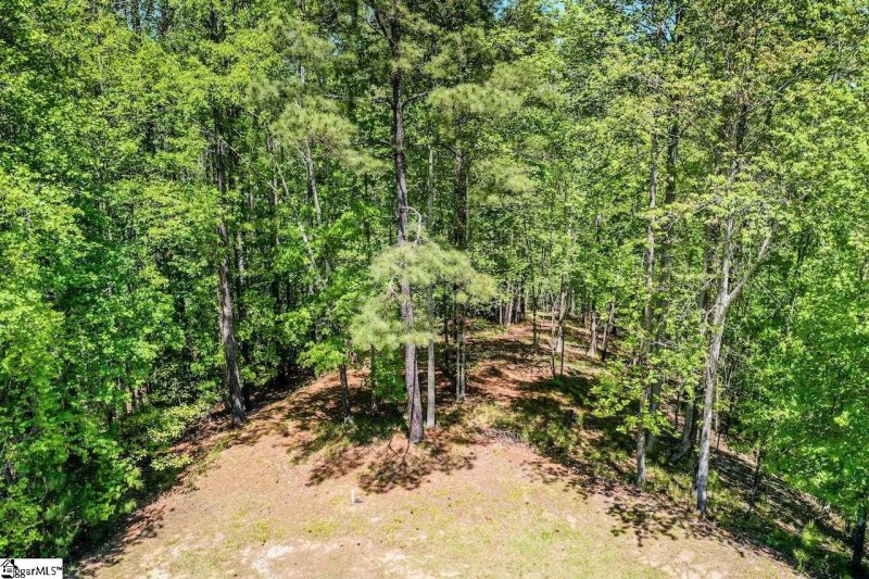 Property image 2 at 208 Autumnwood Trail, Six Mile, SC 29682