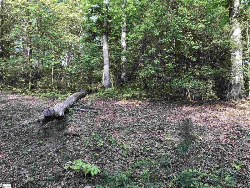 Property image 2 at 26305 Carolinia Way, Fountain Inn, SC 29644