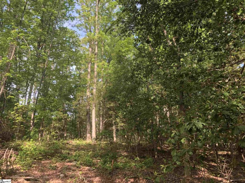 Property image 4 at 26305 Carolinia Way, Fountain Inn, SC 29644