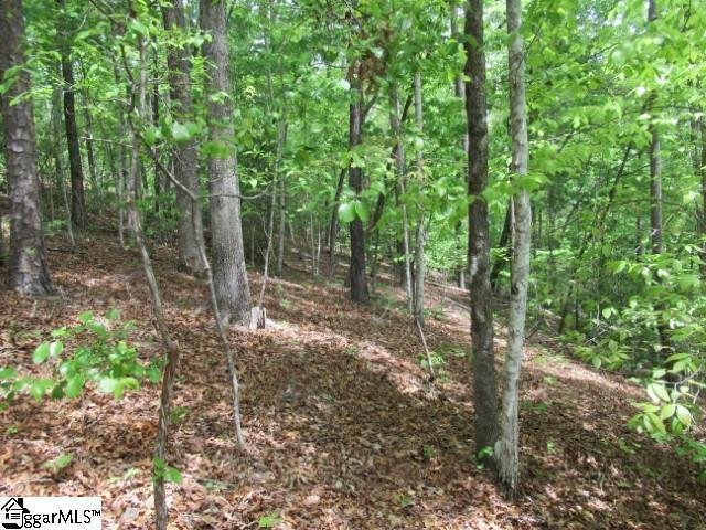 Property image 3 at 357 Gauley Falls Road, Pickens, SC 29671