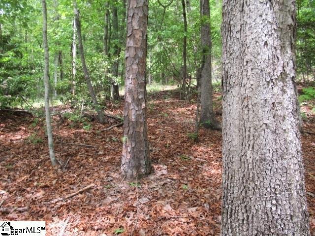 Property image 4 at 357 Gauley Falls Road, Pickens, SC 29671