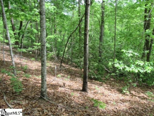 Property image 5 at 357 Gauley Falls Road, Pickens, SC 29671