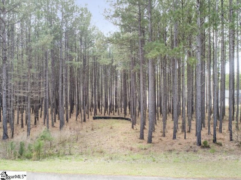 Property image 4 at 823 Audubon Place, Iva, SC 29655