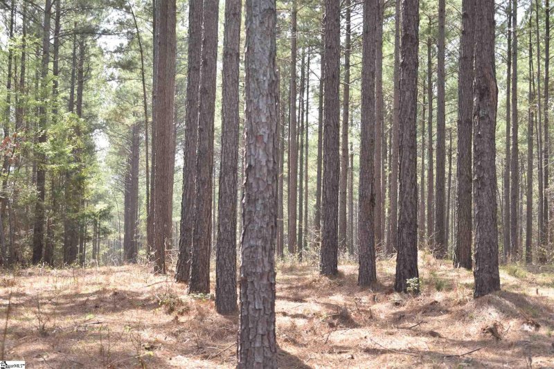 Property image 5 at 823 Audubon Place, Iva, SC 29655