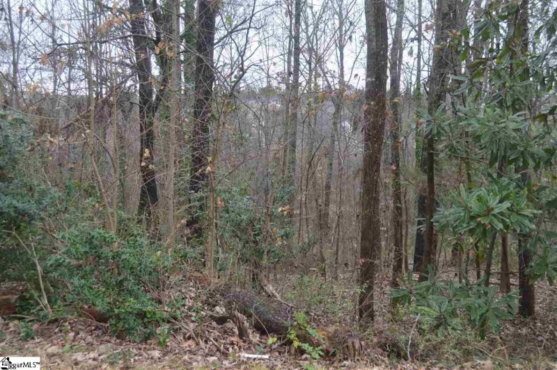 Property image 2 at 311 Bonita Drive, Easley, SC 29642