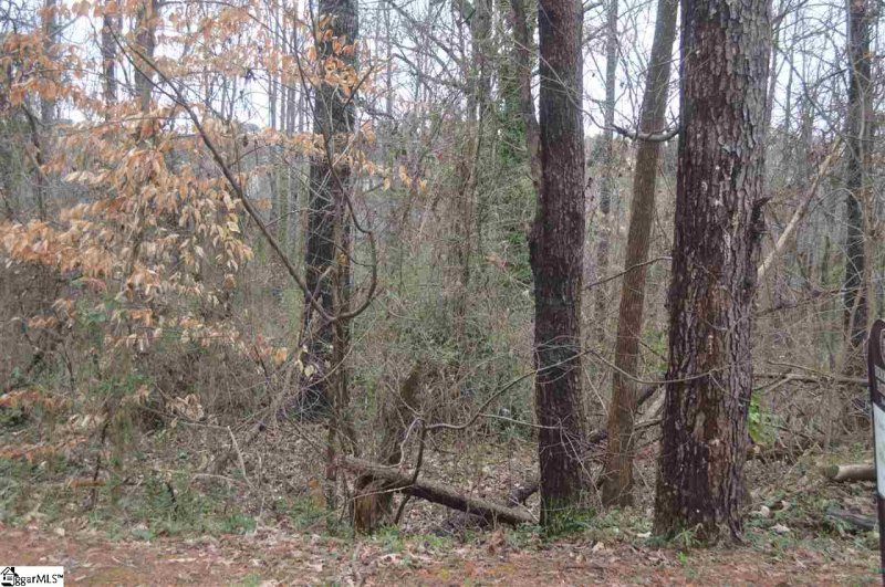Property image 3 at 311 Bonita Drive, Easley, SC 29642